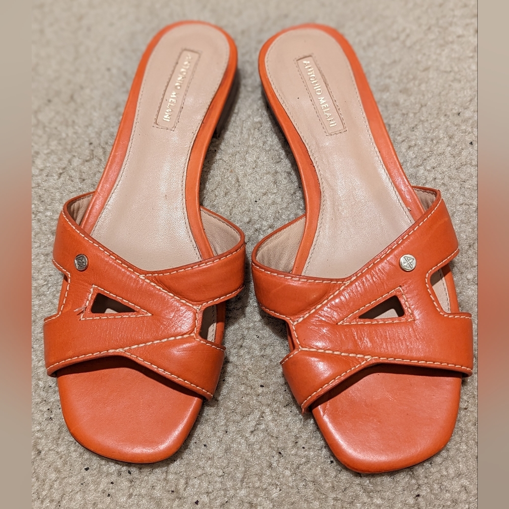 Antonio Melani Leather Slip ons